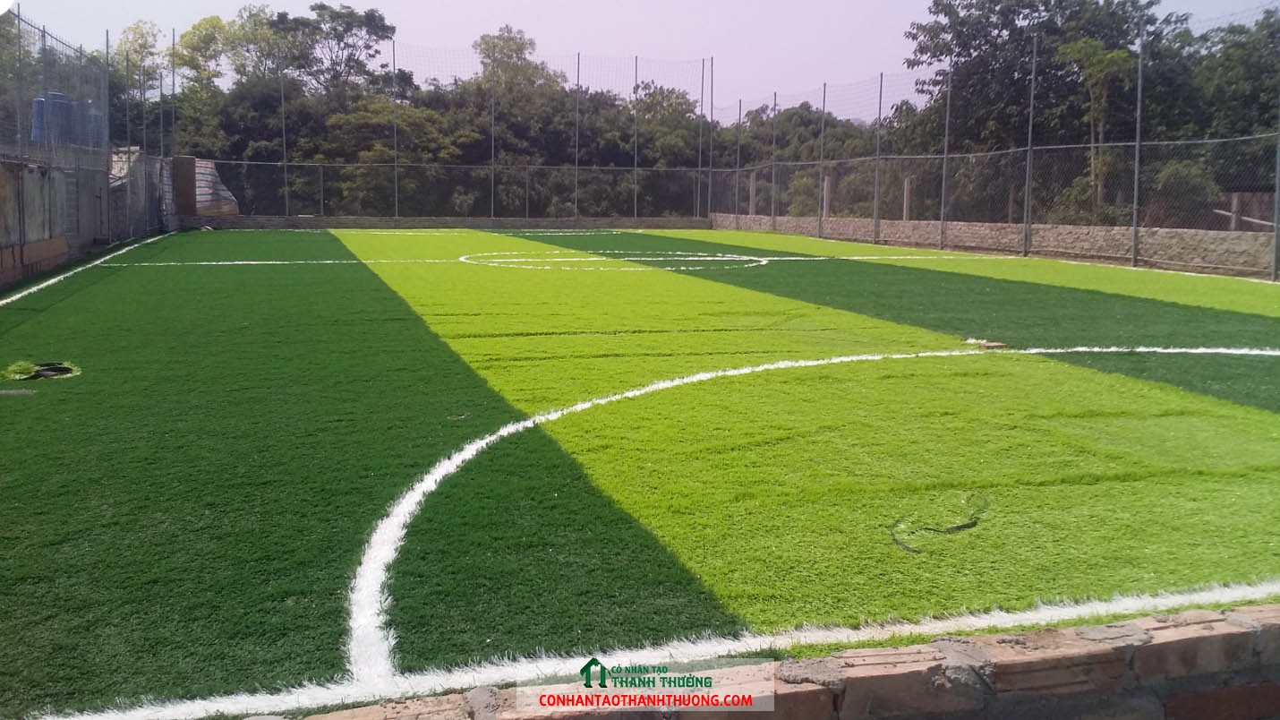 Kích thước sân bóng đá 7 người Quy định và thiết kế phù hợp